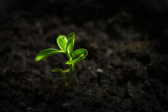 Declare YES To Life